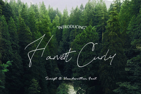 Harvest Curly: The Font That Brings Warmth to Your Campaigns